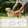 Wholesale IPX7 Waterproof Low Noise Rechargeable Cordless Electric Dog Shaver Clippers Set Portable Plastic Hair Clippers