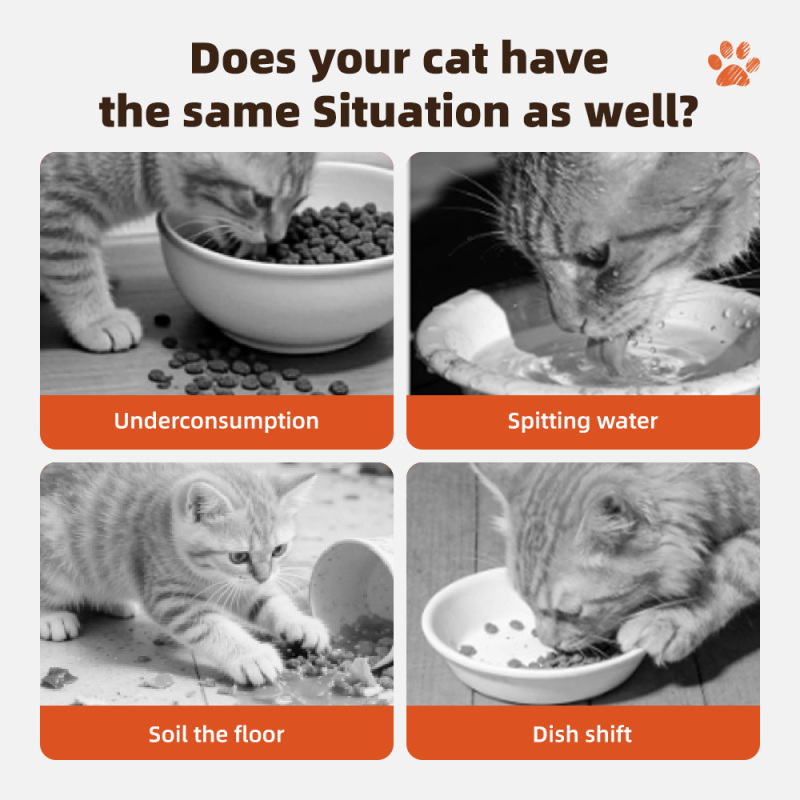 Wholesale Non-sticking Paw Shape Silicone Pet Mat Large Size Silicone Pet Food Dog Mat Various Colors Option