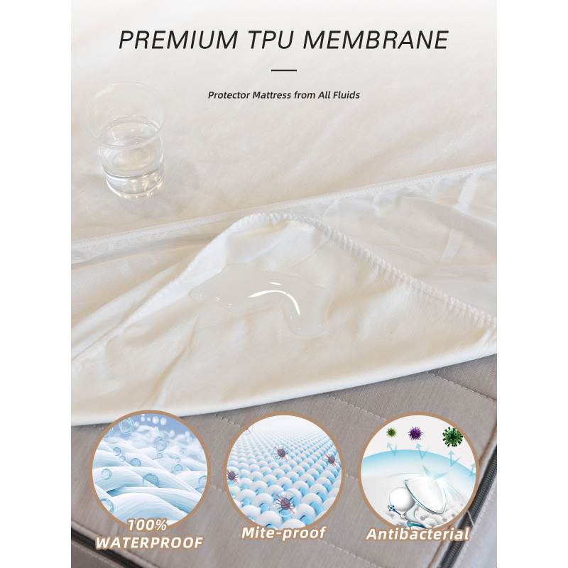 Waterproof Breathable Washable Hypoallergenic Vinyl Free Noiseless Mattress Cover for Pets Kids Adults