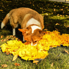 Wholesale spot Reusable Absorbent Pet Feeding Snuffle Mat Pet Snuffle Mat