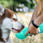 Multifunctional Portable Lightweight Convenient Pet Water Bottle Dog Travel Water Bottle