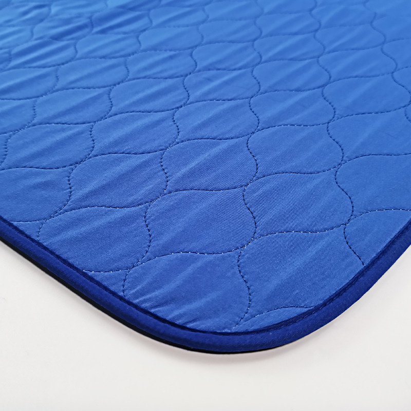 Wholesale Patterns Appear When Exposed To Water Pet Training Pad Reusable Pee Pads Waterproof Dog Pee Pad