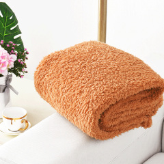 Hot Sale Washable Double Sided Polyester Velveteen Soft Dog Bed Blanket Soft And Warm Pet Blanket