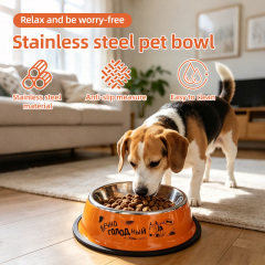 Wholesale Pet Bowls Multiple Colour Pet Food Container Non-slip 201 Stainless Steel Pet Bowls for Small Animals