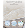 Wholesale Fully Waterproof Cotton Terry Mattress Protector Breathable and Noiseless for Home Use and Bed