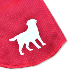 Chubasquero para perros de alta calidad, ropa impermeable, abrigo ligero para perros, chaqueta para perros pequeños, medianos y grandes