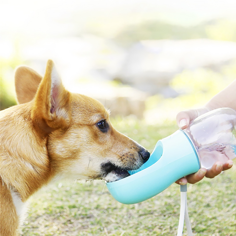 Outdoor Portable Water Dispenser Portable pet Water Bottle with Food Container