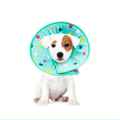 調節可能なS-XLグリーンプリントペット保護首輪犬の首の回復円錐首輪、咬傷防止、手術または創傷用