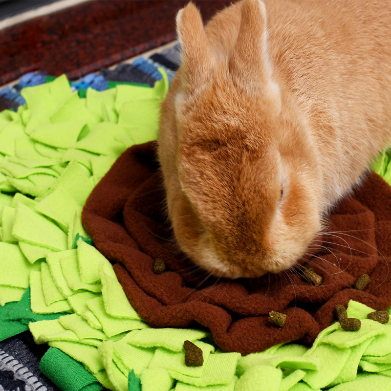 Wholesale Feeding Mat Washable Portable Snuffle Mat for Dogs Sniffing Interactive Feeding Game Boredom