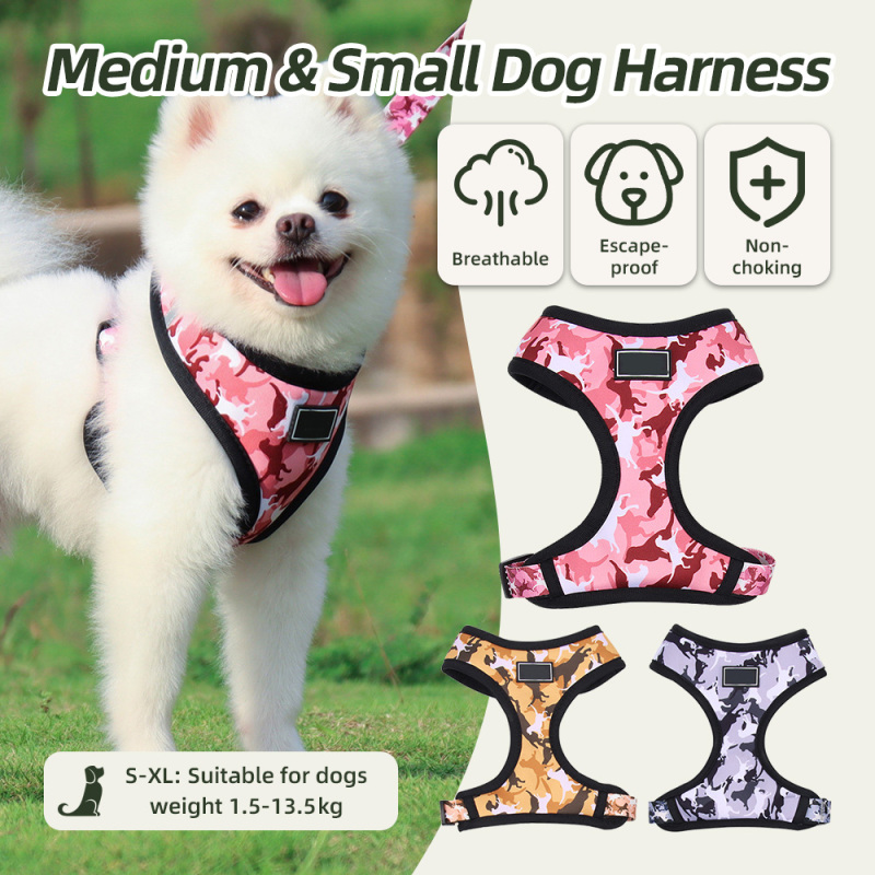 Wholesale Soft Dog Harness Adjustable Small Dog Harness and Leash Set