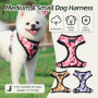 Wholesale Soft Dog Harness Adjustable Small Dog Harness and Leash Set