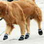 Outdoor Dog Shoes Keep Warm Waterproof Breathable Non-Slip Big Pet Casual Boots