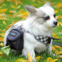 Dog Poop Bag Holder Large Waste Bags Dispenser Belt Attachment with Doggie Treat Training