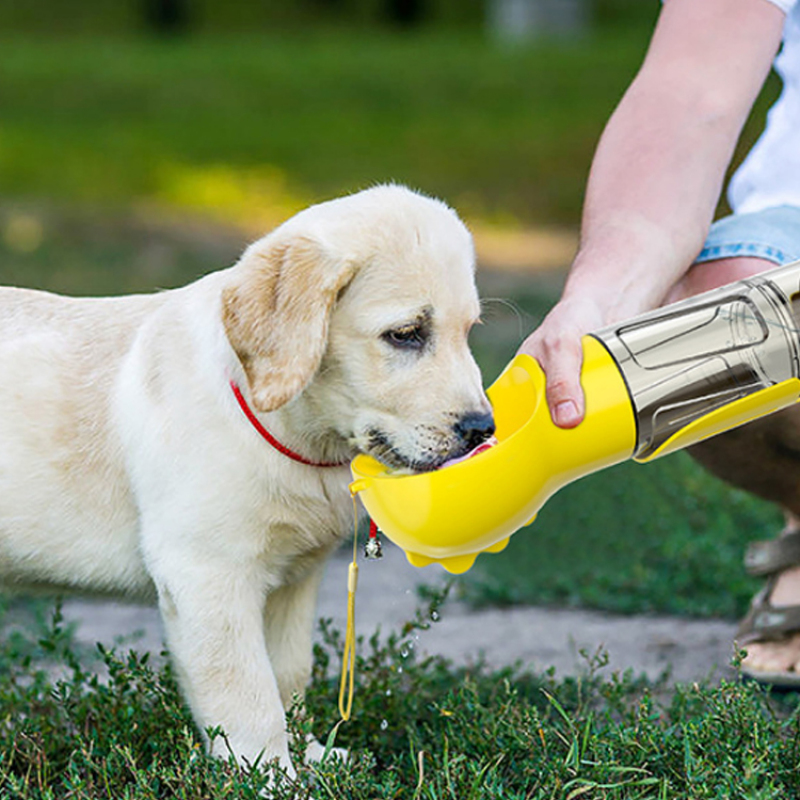Wholesale Outdoor portable pet dog water bottle portable drinking water feed Pet Water Bottles
