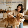 Wholesale Self Cleaning Stainless Steel Slicker Brush Eco-Friendly Easy to Clean Pet Grooming Tool for Dogs & Cats Shedding