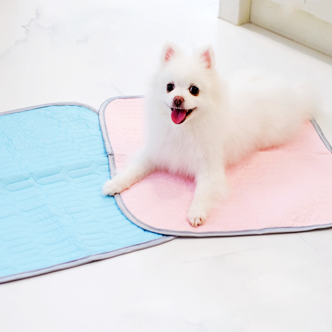 Wholesale   Breathable Dog Crate Sleep Mat Summer Pet Bed Large Cooling Pad  for Dogs