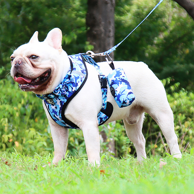 Soft Dog Harness Adjustable Small Dog Harness and Leash Set