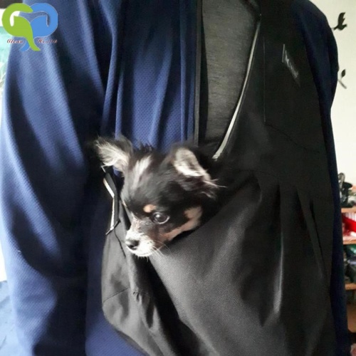 Small Dog Cat Carrier Sling bag Hands-Free Pet Puppy Outdoor Travel Bag Adjustable BLACK