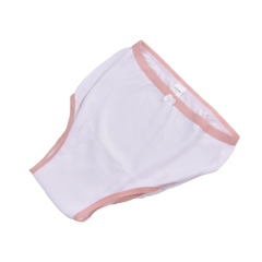 Wholesale Women's Protective Incontinence Panties With Waterproof PUL Layer Lace Period Panties  Incontinence Underwear