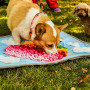 Easy To Fill And Machine Washable Training Mats Durable Pet Feeding Mat Pet Snuffle Mat
