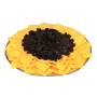 Snuffle Training Blanket Mat Dogs Application Pet Feeding Mat Pet Sniffing Pads Snuffle Mat For Dogs