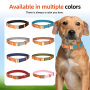 Wholesale Solid Fur Dog Collar Adjustable Buckle Heavy-Duty Polyester Leather Personalized Custom