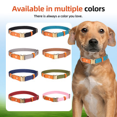 Wholesale Solid Fur Dog Collar Adjustable Buckle Heavy-Duty Polyester Leather Personalized Custom