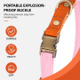 Wholesale Solid Fur Dog Collar Adjustable Buckle Heavy-Duty Polyester Leather Personalized Custom