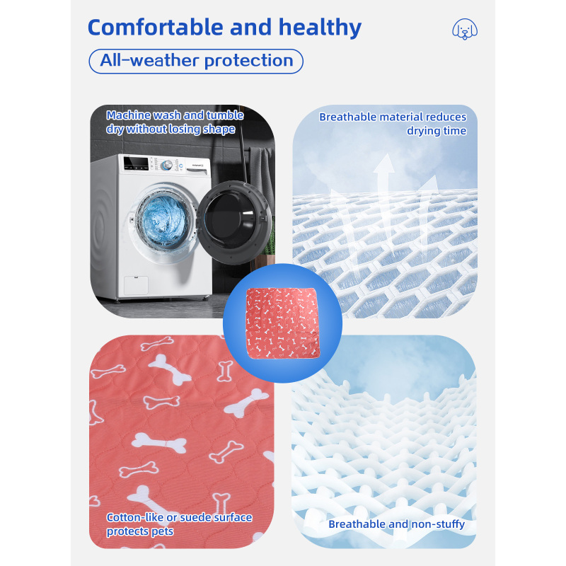 Tapis d'apprentissage de la propreté lavables et réutilisables Queenhe pour chiens