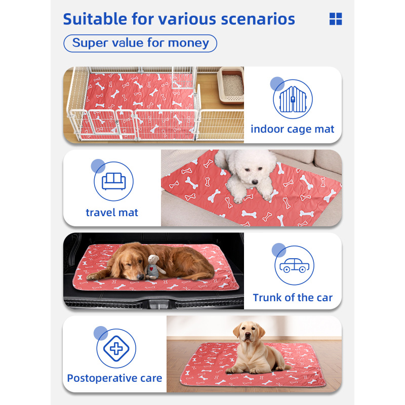 Tapis d'apprentissage de la propreté lavables et réutilisables Queenhe pour chiens