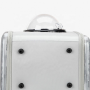 Portable Pet Travel Carrier Space Capsule Pet Cat Bubble Backpack Waterproof Traveler Knapsack for Cat and Small Dog