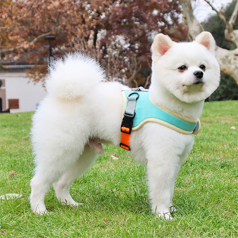 Wholesale  Adjustable Pet Puppy Dog Safety Harness with Leash Lead Set