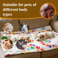 Waterproof Double Sided Fleece Blanket Warm Soft Paw Prints 100% Polyester Double-sided Fleece Dogs Pet Blankets