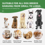 Wholesale Stress Relief Durable Green Snuffle Mat for Dogs with Anti-Slip Designs for Foraging Skill
