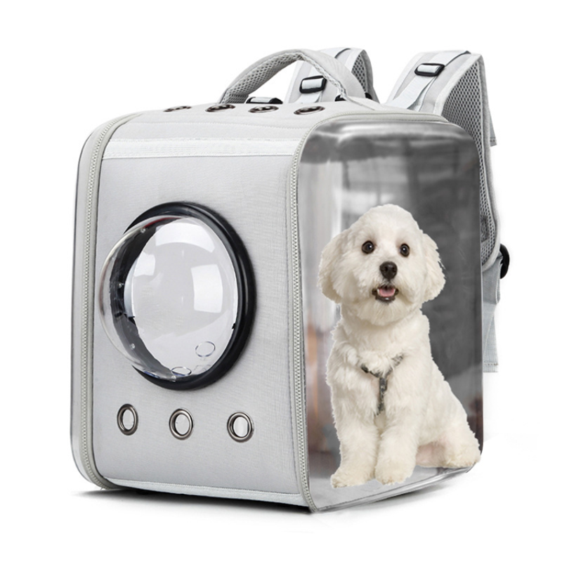Portable Transparent Pet Bag Backpack Foldable Breathable Portable Bag for Cat
