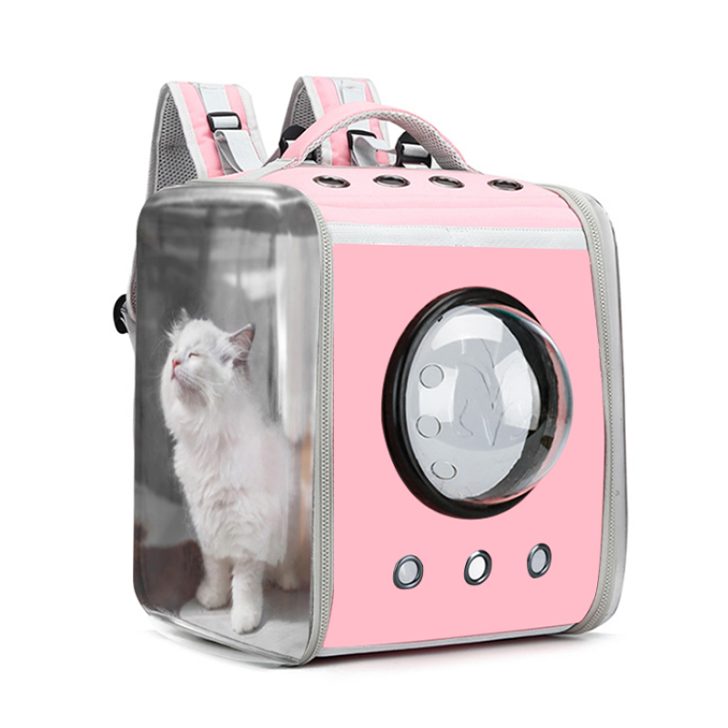 Portable Transparent Pet Bag Backpack Foldable Breathable Portable Bag for Cat