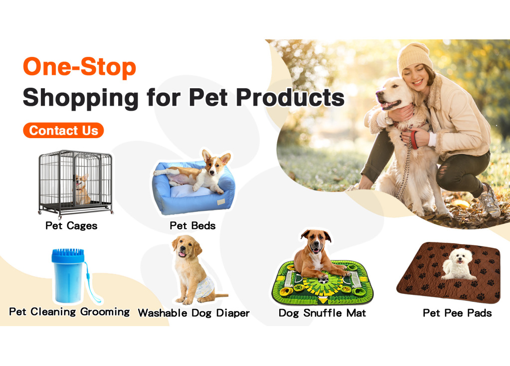 The Aidingcare Promise: 18 Years of Crafting Trusted Pet Care Solutions