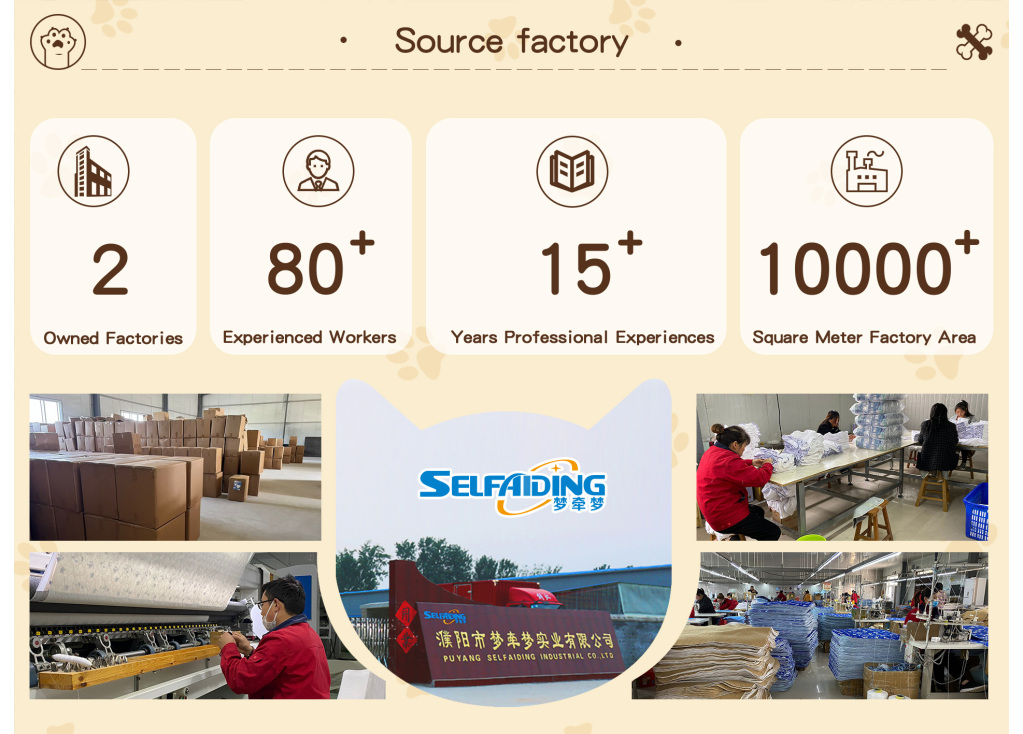  The Anatomy of a Safe Pet Toy: Aidingcare's Commitment to Pet Health and Safety