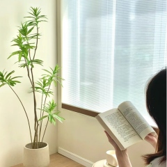 Cordless day and night blinds Honeycomb Blinds For Window Shades