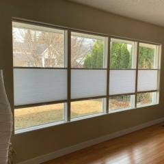 Top Down Bottom Up Cellular Shades Cordless Honeycomb Blinds For Window Shades