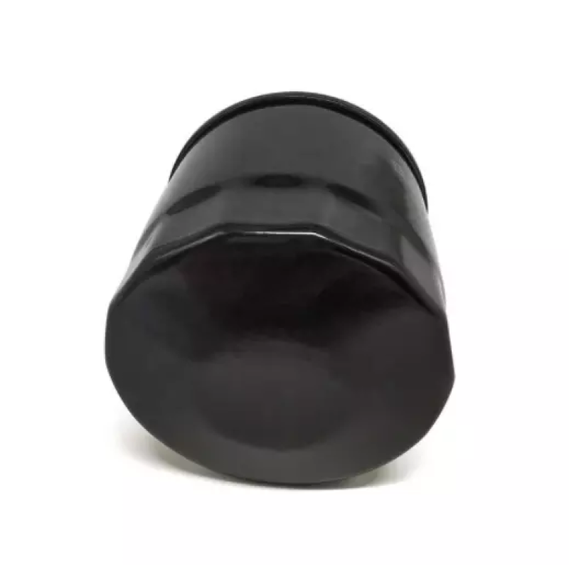 XN1012110000 High Quality Factory Supply Oil Filter oem XN1012110000 for car