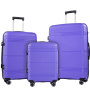NiceTravel 3 Piece Hardside Luggage set, Lightweight Hard Shell Suitcase with TSA Lock Carry on and Checked Luggage, Purple