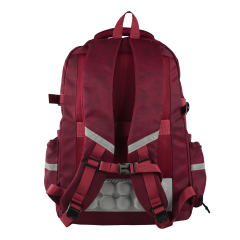 Forest Myth Backpack for Men and Women,Casual Daypack Water-Resistant Lightweight SchoolBackPack,Wine Red (4.6) | 5 ratings