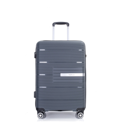 Hardshell Suitcase Double Spinner Wheels PP Luggage Sets Lightweight Durable Suitcase with TSA Lock,3-Piece Set (20/24/28) , Gray