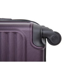 20" Carry on ABS Luggage Lightweight Suitcase, Spinner Wheels, Purple