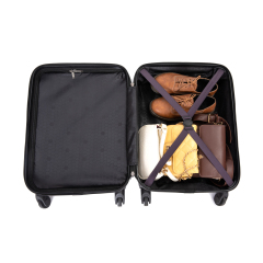 20" Carry on ABS Luggage Lightweight Suitcase, Spinner Wheels, Purple