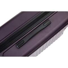 20" Carry on ABS Luggage Lightweight Suitcase, Spinner Wheels, Purple
