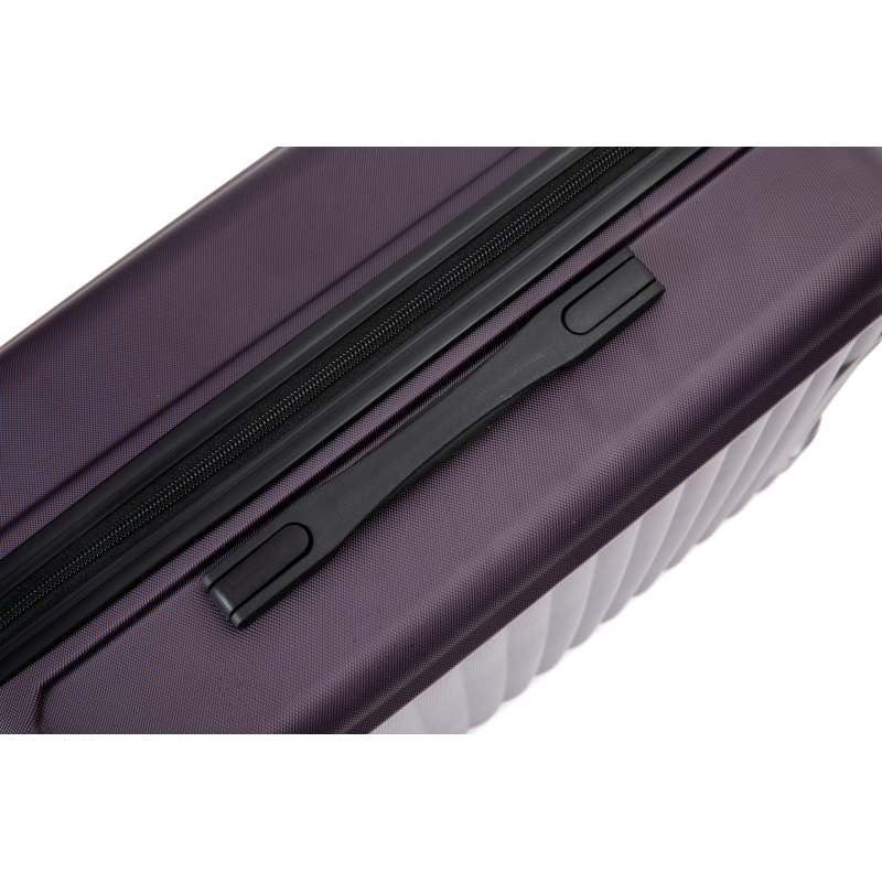 20" Carry on ABS Luggage Lightweight Suitcase, Spinner Wheels, Purple