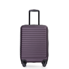 20" Carry on ABS Luggage Lightweight Suitcase, Spinner Wheels, Purple