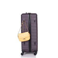 3 Pieces Luggage Sets ABS Lightweight Suitcase with Two Hooks, Spinner Wheels, TSA Lock, (20/24/28) Purple